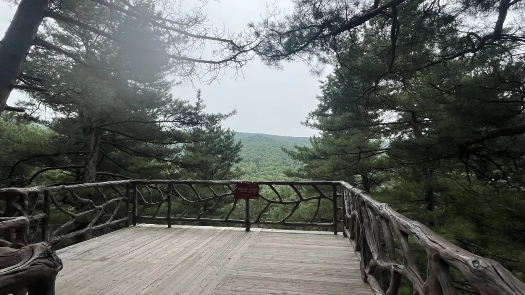 6690f8d3de83a43a37202d32ac7f3bb7.jpg 6690f8d3de83a43a37202d32ac7f3bb7.jpg