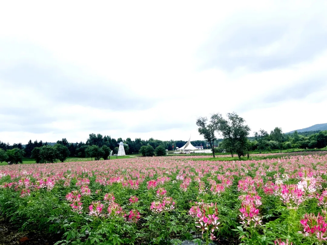 cafbe2a916718ceadc8f997808fd0d78.jpg cafbe2a916718ceadc8f997808fd0d78.jpg