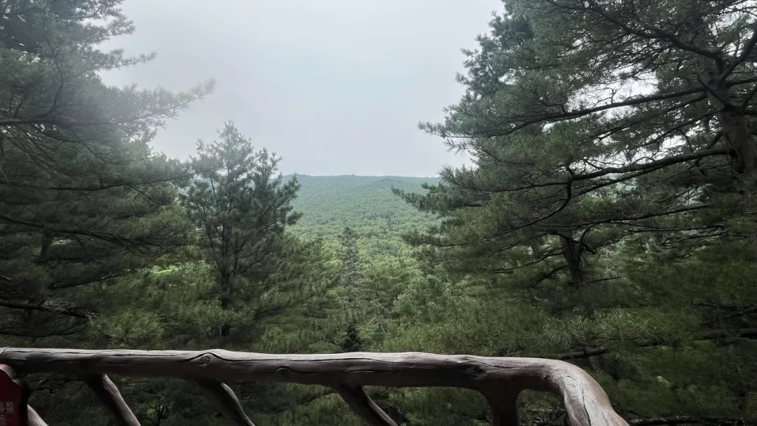 e33311ac2245bec0df5592593a3899eb.jpg e33311ac2245bec0df5592593a3899eb.jpg