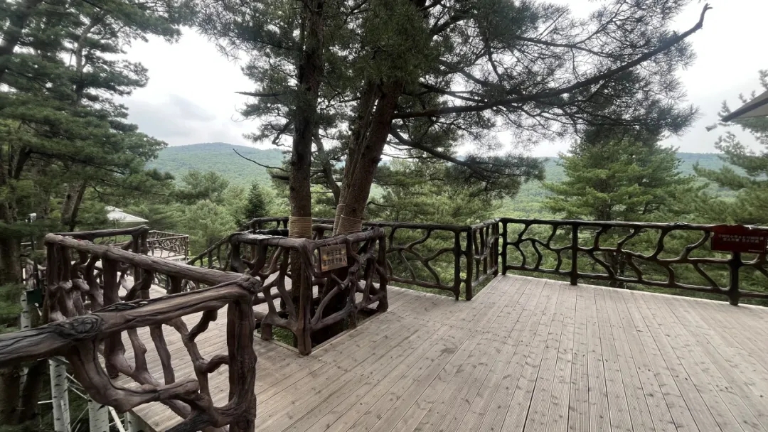 c65fea9015045535cd101ccc9d5fe9c6.jpg c65fea9015045535cd101ccc9d5fe9c6.jpg