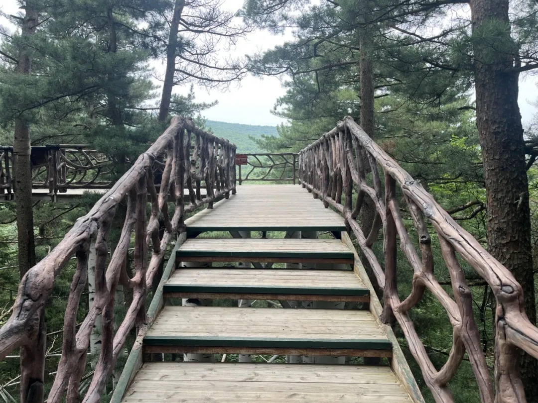 14f10d32f8ae1a18309ef45e6f11671f.jpg 14f10d32f8ae1a18309ef45e6f11671f.jpg