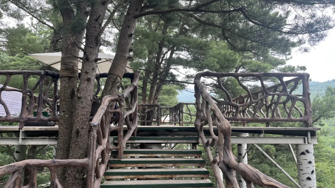 98a9833ecc1f1d805539d4104d05efb8.jpg 98a9833ecc1f1d805539d4104d05efb8.jpg