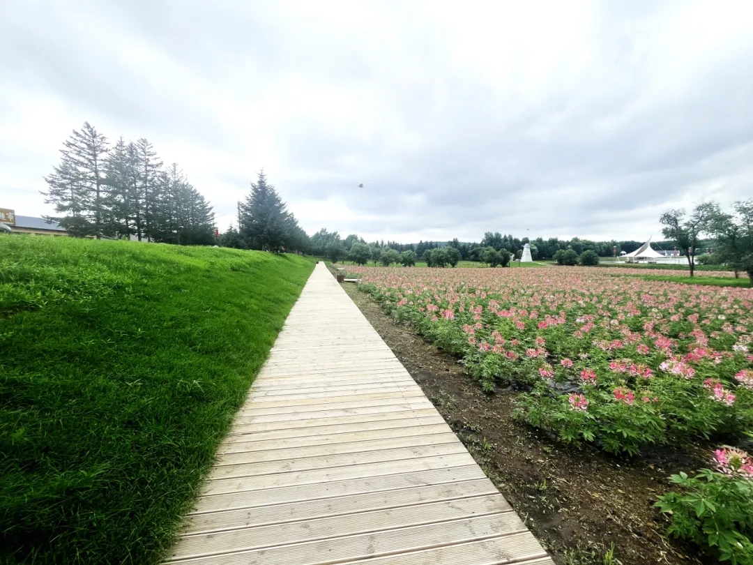 549325daef05ab0ca928286dfd712cb0.jpg 549325daef05ab0ca928286dfd712cb0.jpg