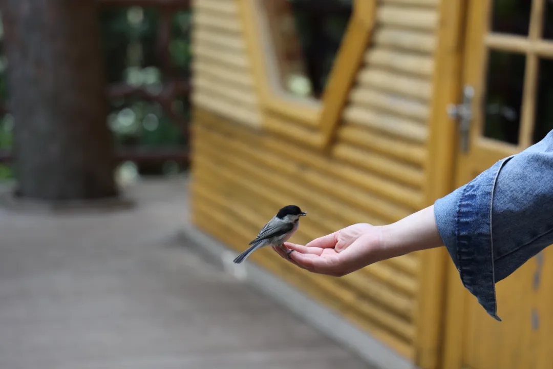 ecd635cfcb331819cebdbede32bc6d95.jpg ecd635cfcb331819cebdbede32bc6d95.jpg