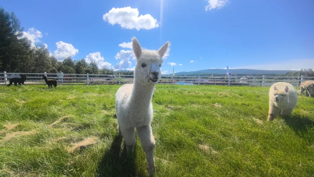 3148ed9d78adf3f3f877087887cc385e.jpg 3148ed9d78adf3f3f877087887cc385e.jpg