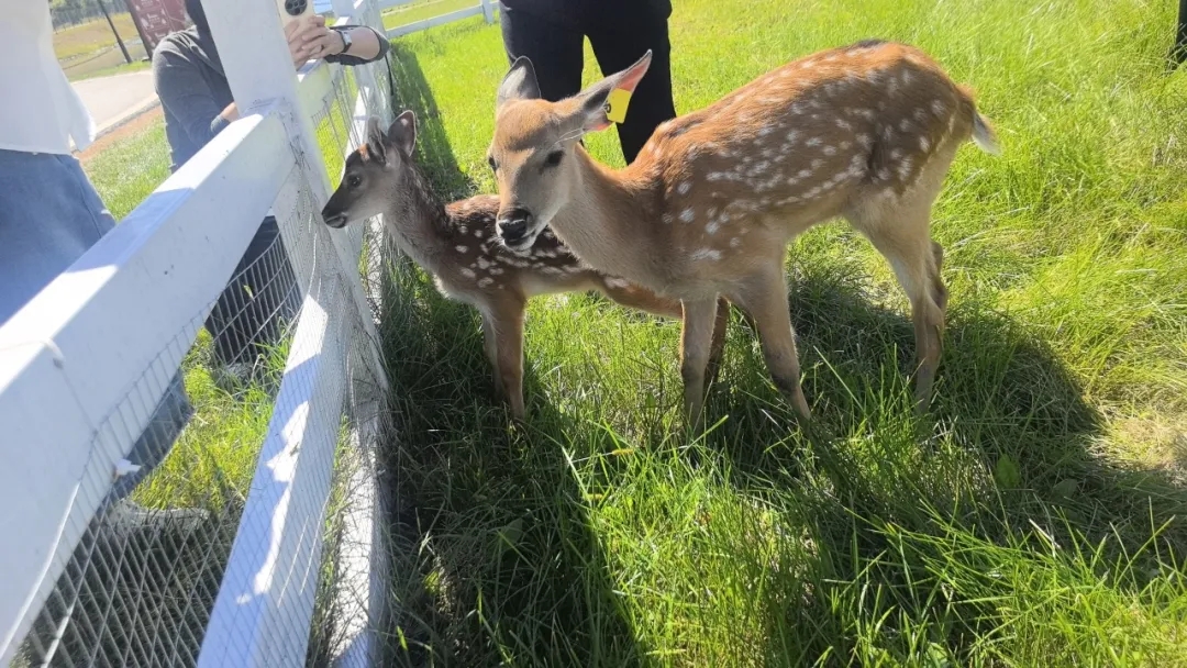 b988b3c7f194478e5df48a48d6983134.jpg b988b3c7f194478e5df48a48d6983134.jpg