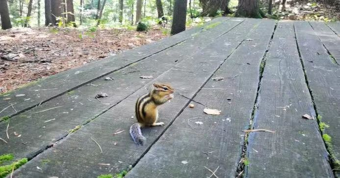 1194385dfc03ae4a2181a69e264ba069.png 1194385dfc03ae4a2181a69e264ba069.png